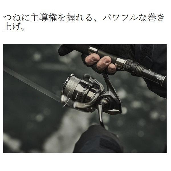 24ツインパワー